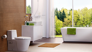 acacia e wall hung toilet
