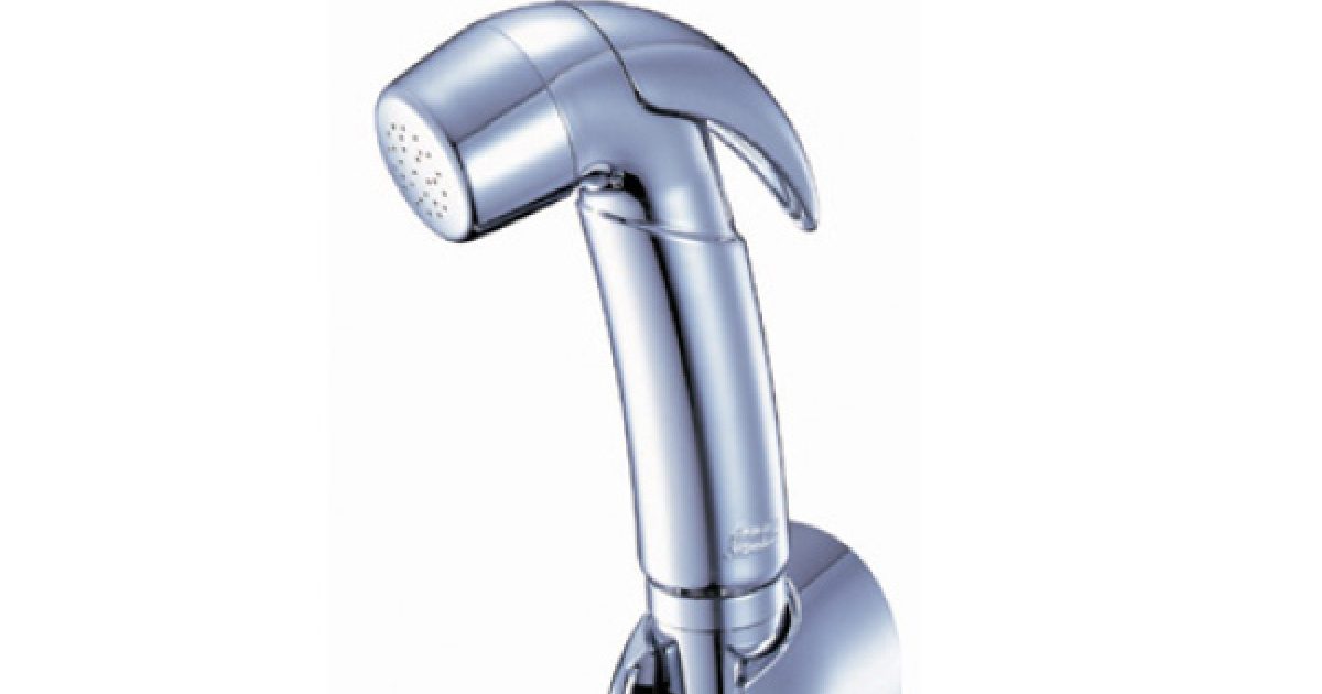 NEW DOUCHE HYGIENIC SPRAY BODY CHROME American Standard